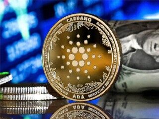 中币网是不是正规的交易(中币交易所是正规吗)